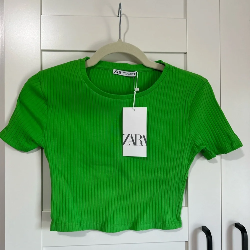 NWT Zara Green Ribbed Cropped Tshirt - Picture 3 of 9